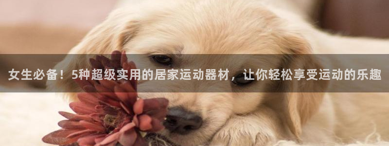 征途国际开户:女生必备!5种超级实用的居家运动器材,让你轻松