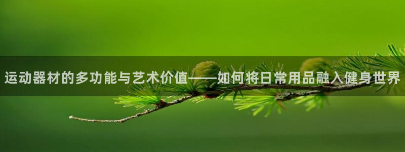 征途国际软件:运动器材的多功能与艺术价值——如何将日常用品融