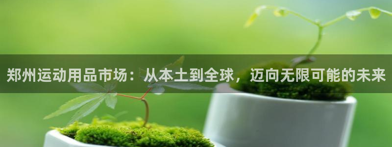 征途国际神州:郑州运动用品市场:从本土到全球,迈向无限可能的