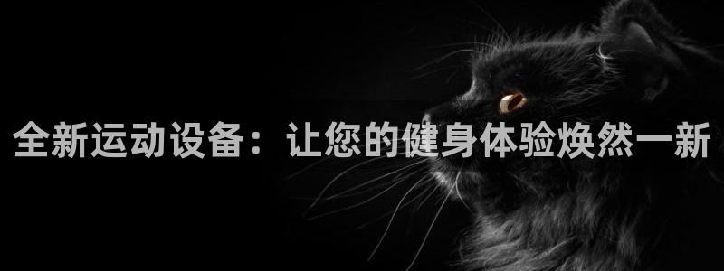 征途国际集团简介:全新运动设备:让您的健身体验焕然一新