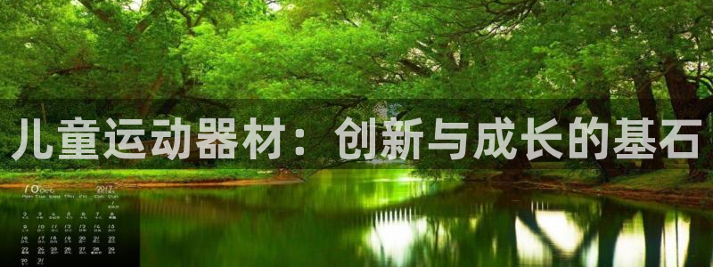 征途国际官网:儿童运动器材:创新与成长的基石